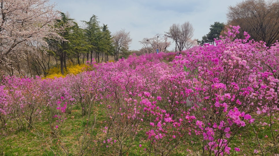 한우농가&고창장어 이미지