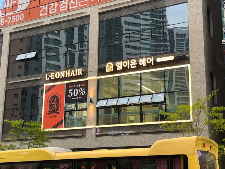 엘이오 이미지