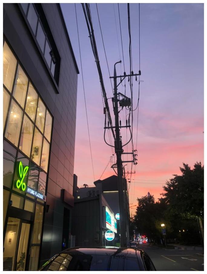 플라쥬 이미지