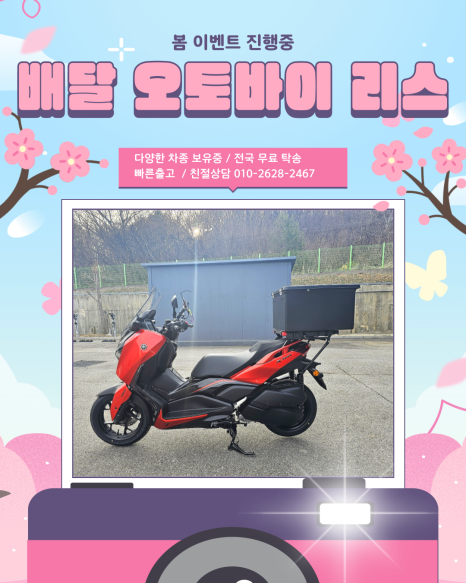 이실리스 이미지