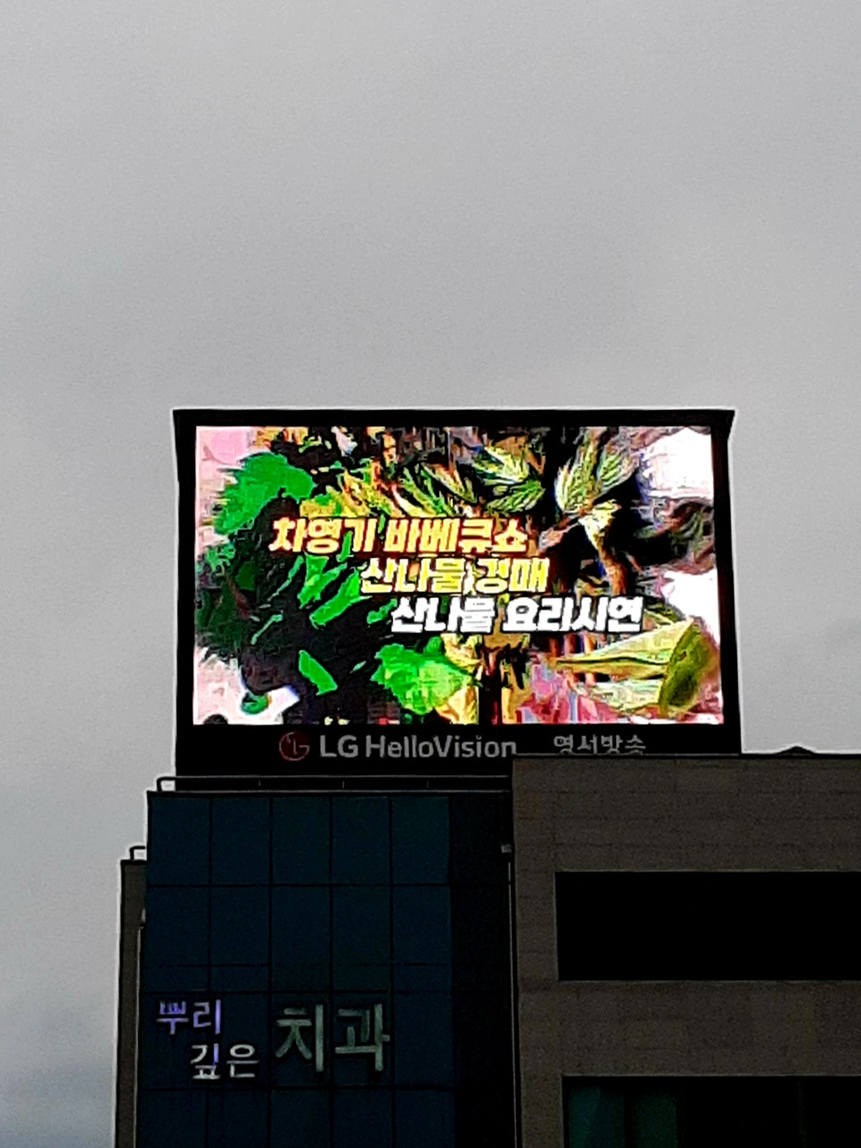대호광고 이미지