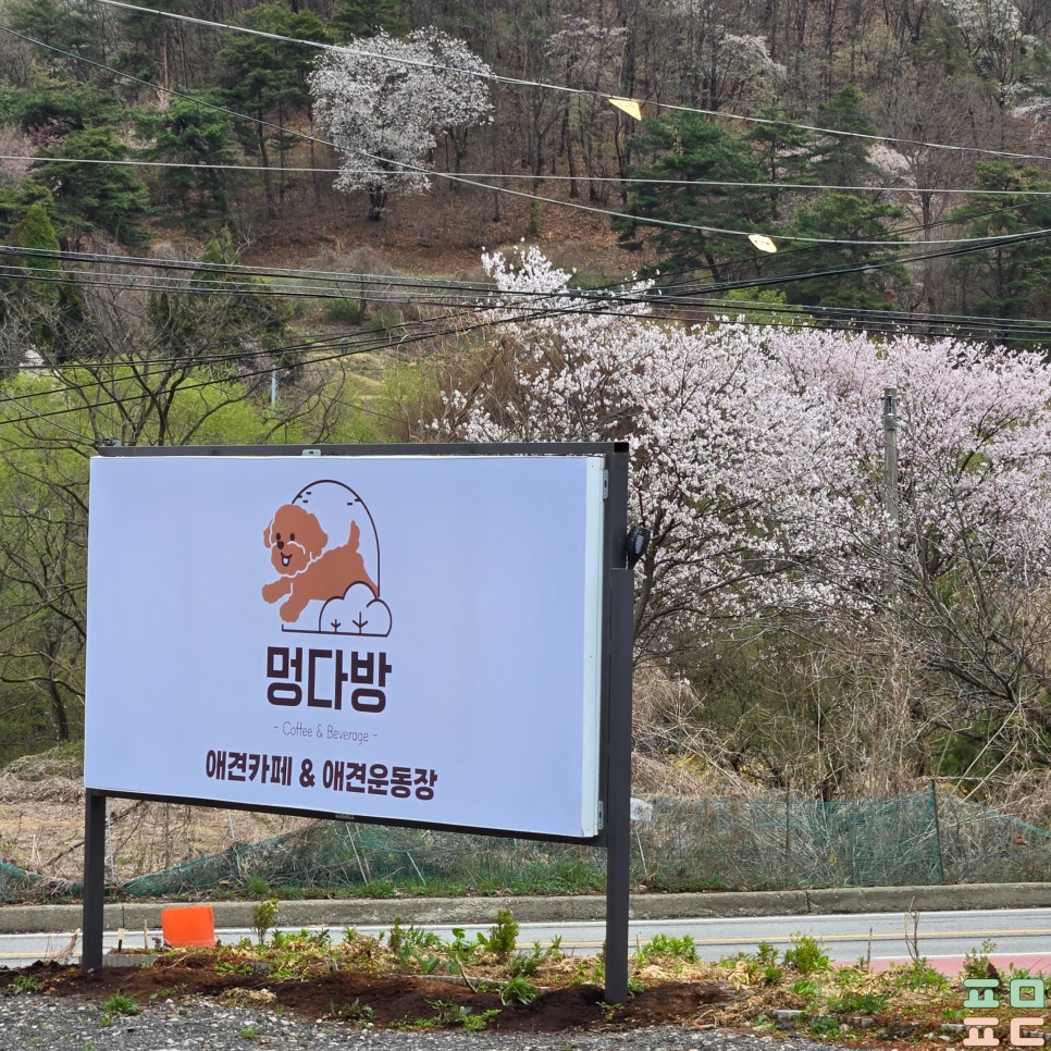 멍다방 이미지