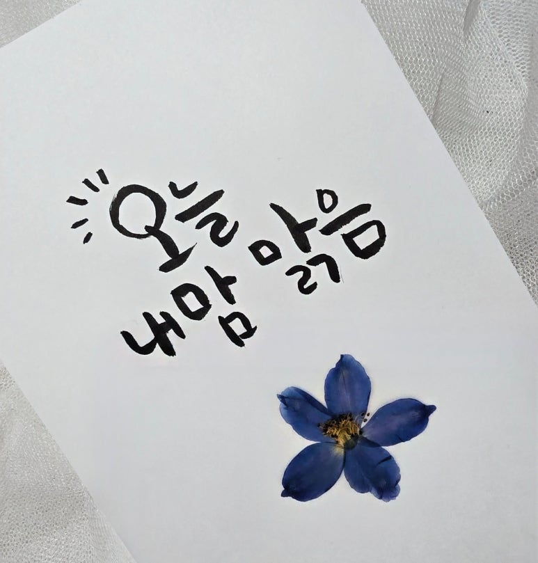 빛깔캘리그라피 이미지