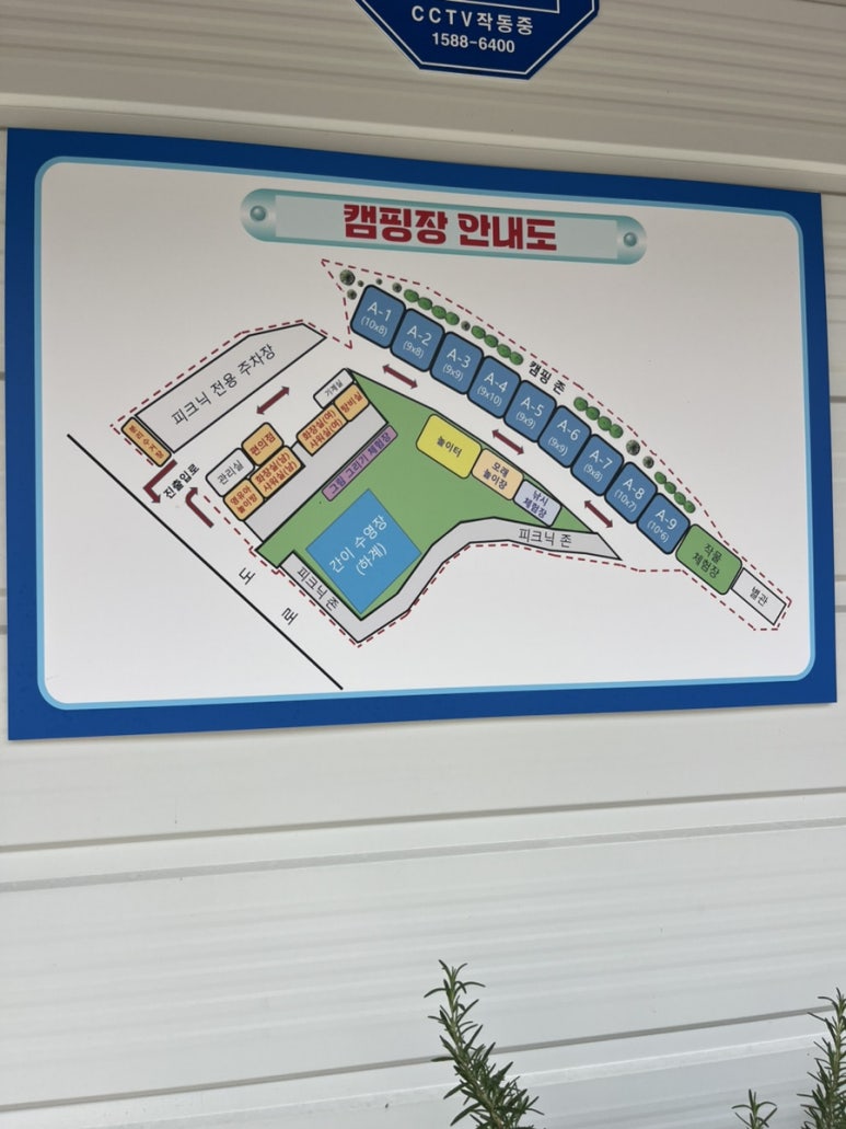 대암팜트리 이미지