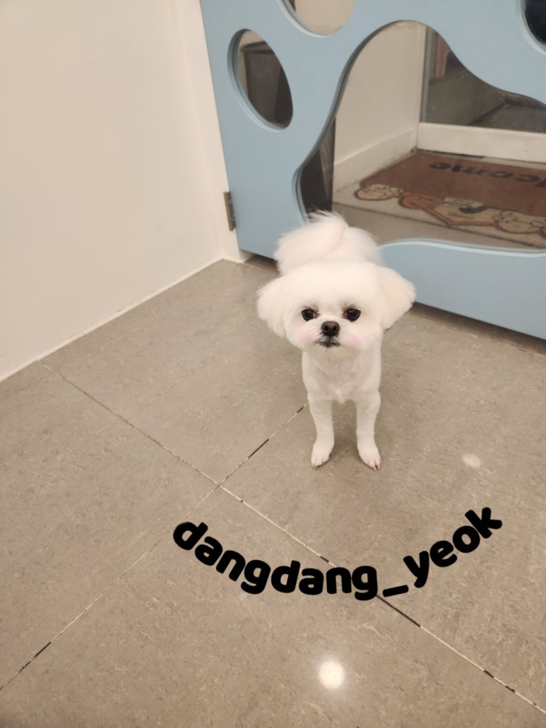 연두미용실 이미지