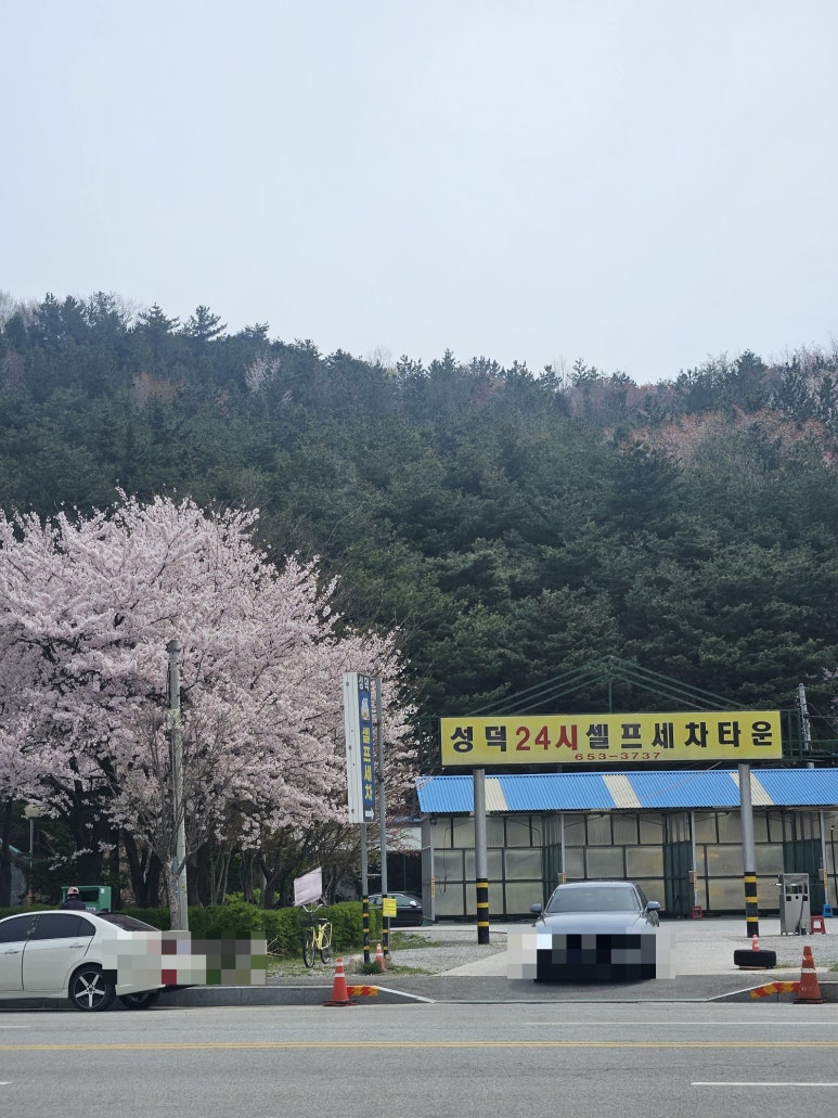 성덕24시셀프세차타운 이미지