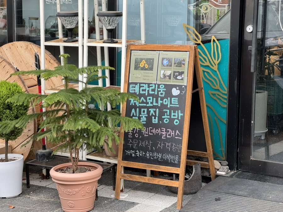 린다플랜트 이미지