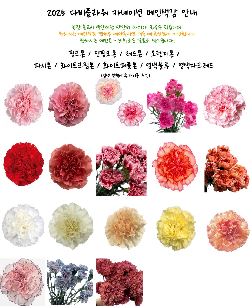 다비플라워 이미지