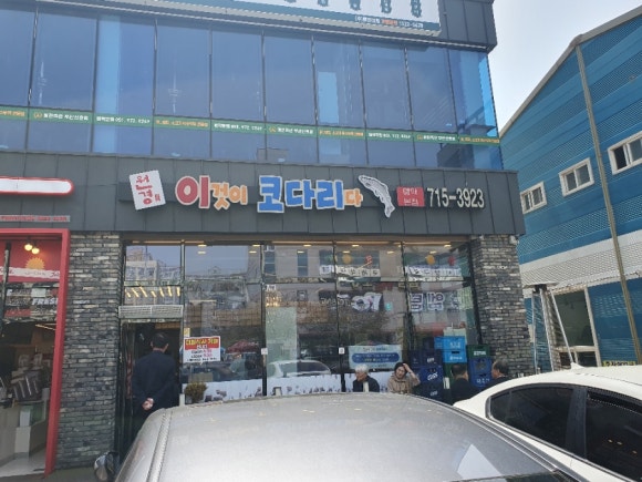 이것이코다리다 이미지