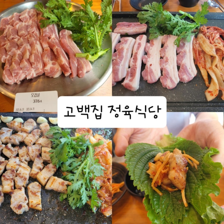 고백정육식당 이미지