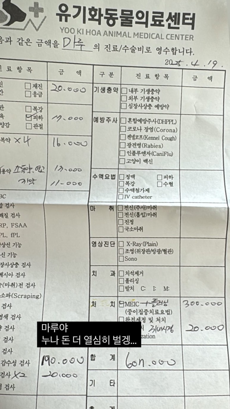유기화 이미지