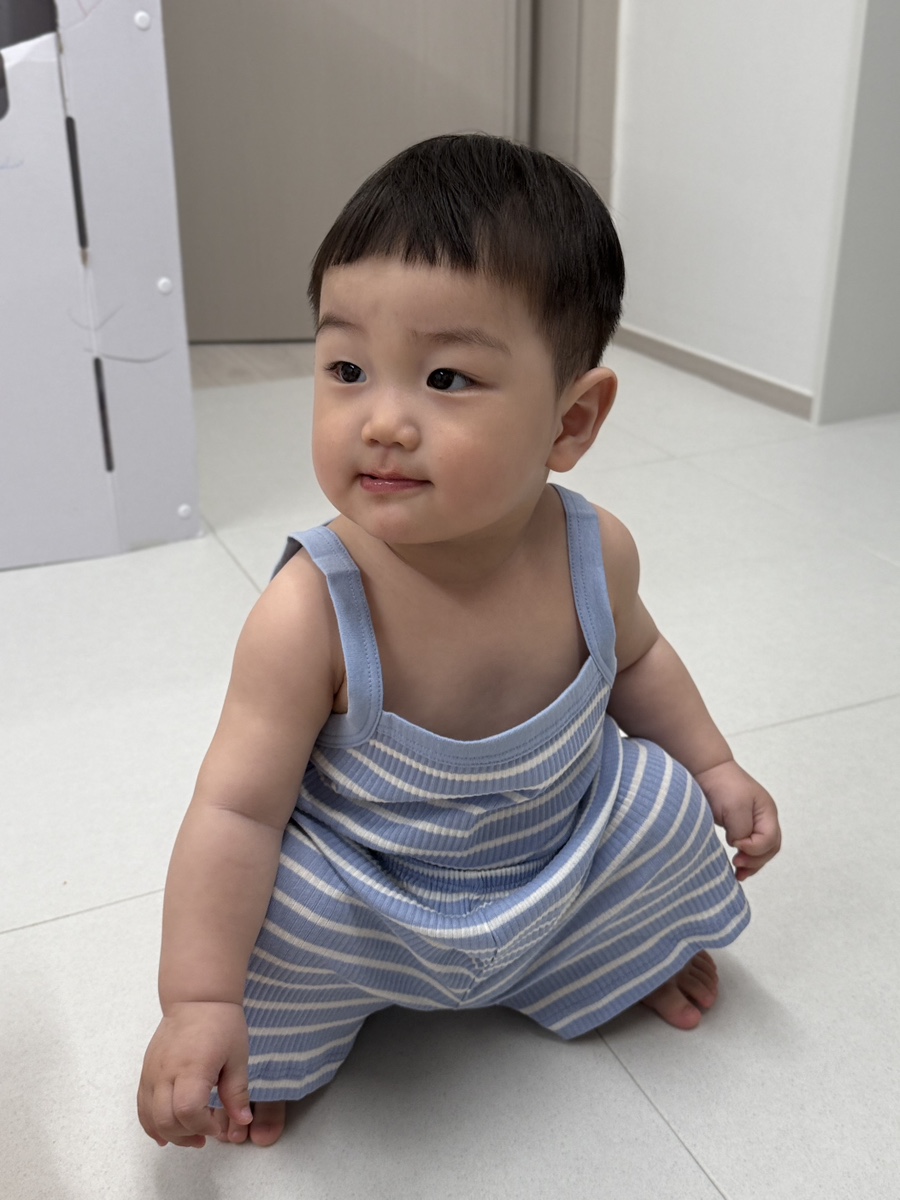 코코하니 이미지