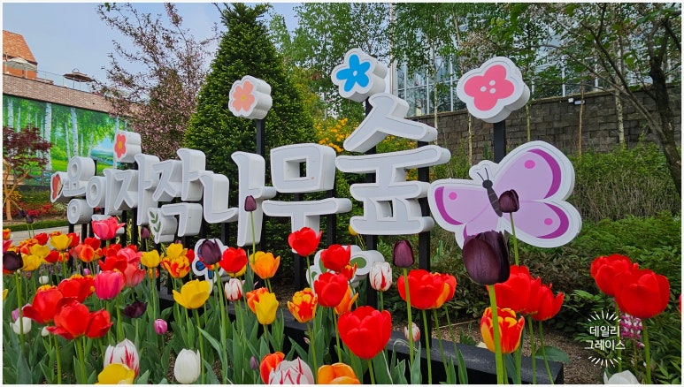 용인자작나무숲펜션 이미지