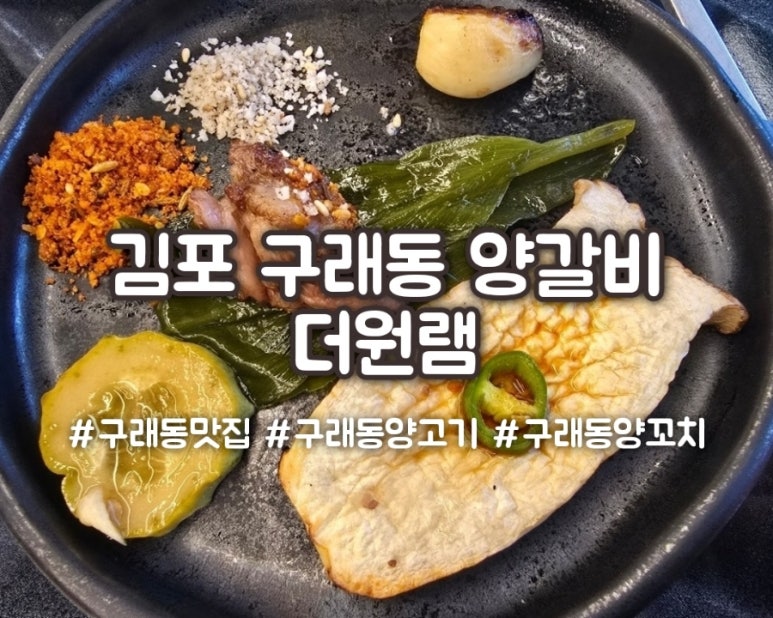 더원 램 이미지
