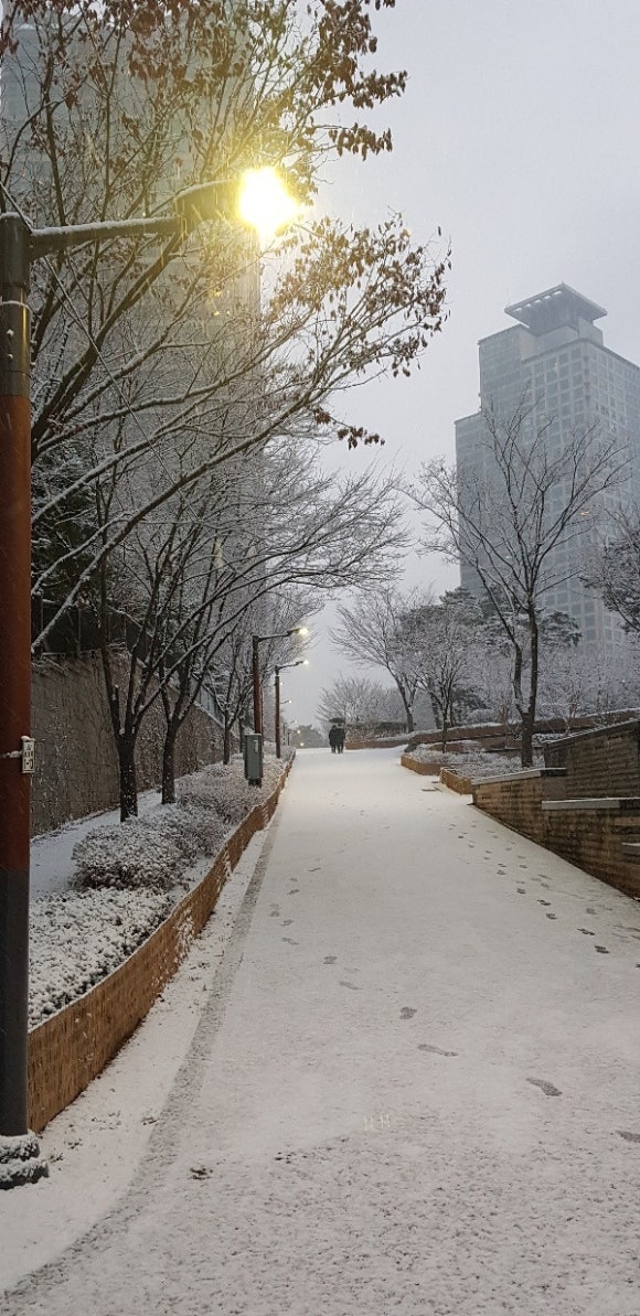 행복한 세상 이미지