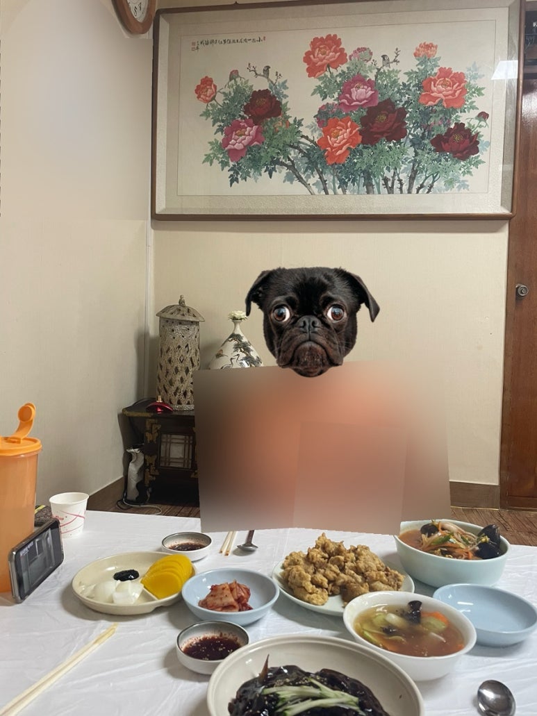 송화반점 이미지
