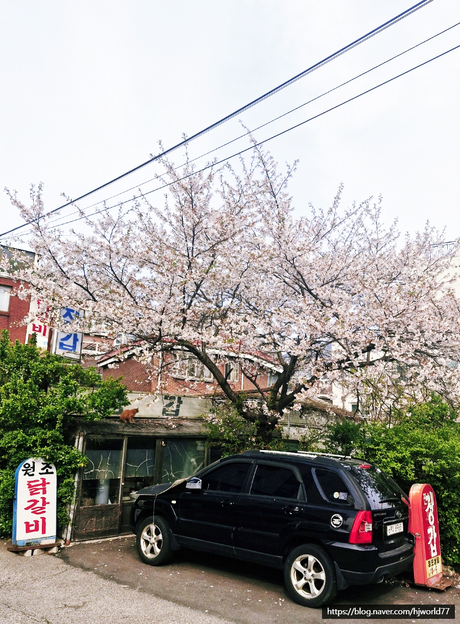김종욱커피 이미지