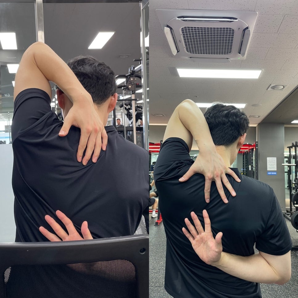 금촌다목적실내체육관 이미지
