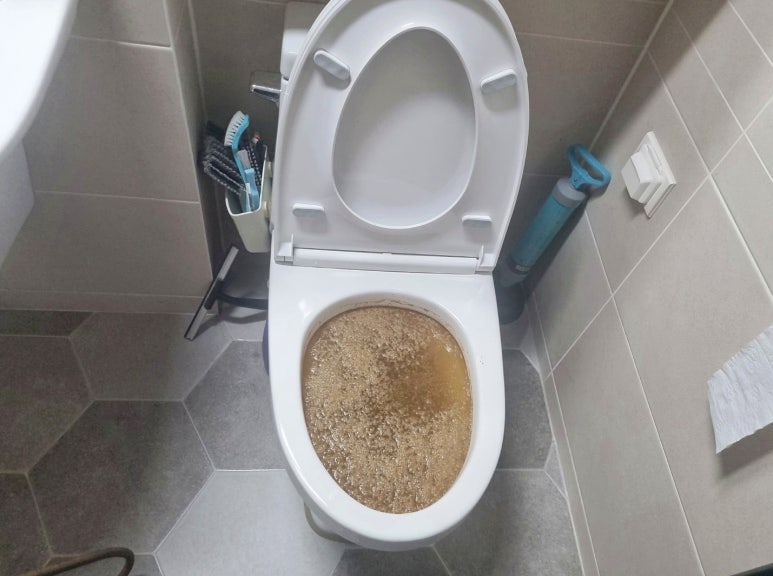 변기막힘 이미지