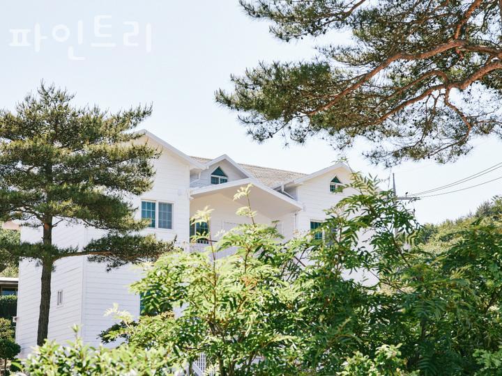 파인트리호텔 이미지