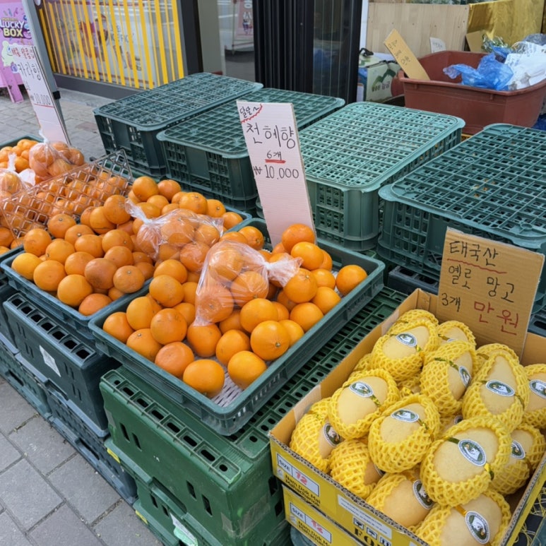 백두상회 이미지