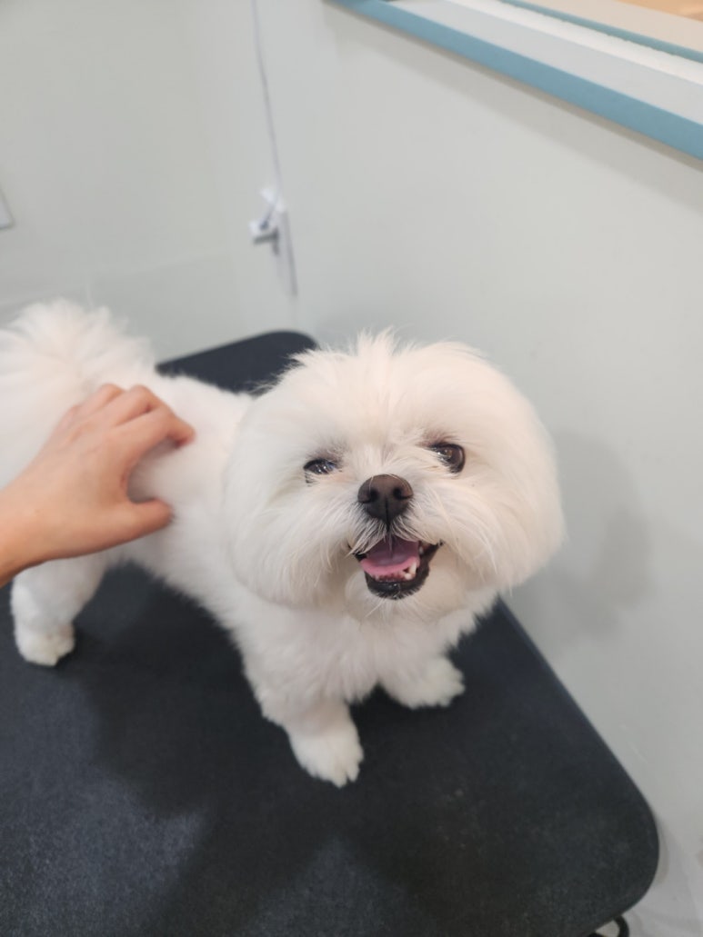 연두미용실 이미지