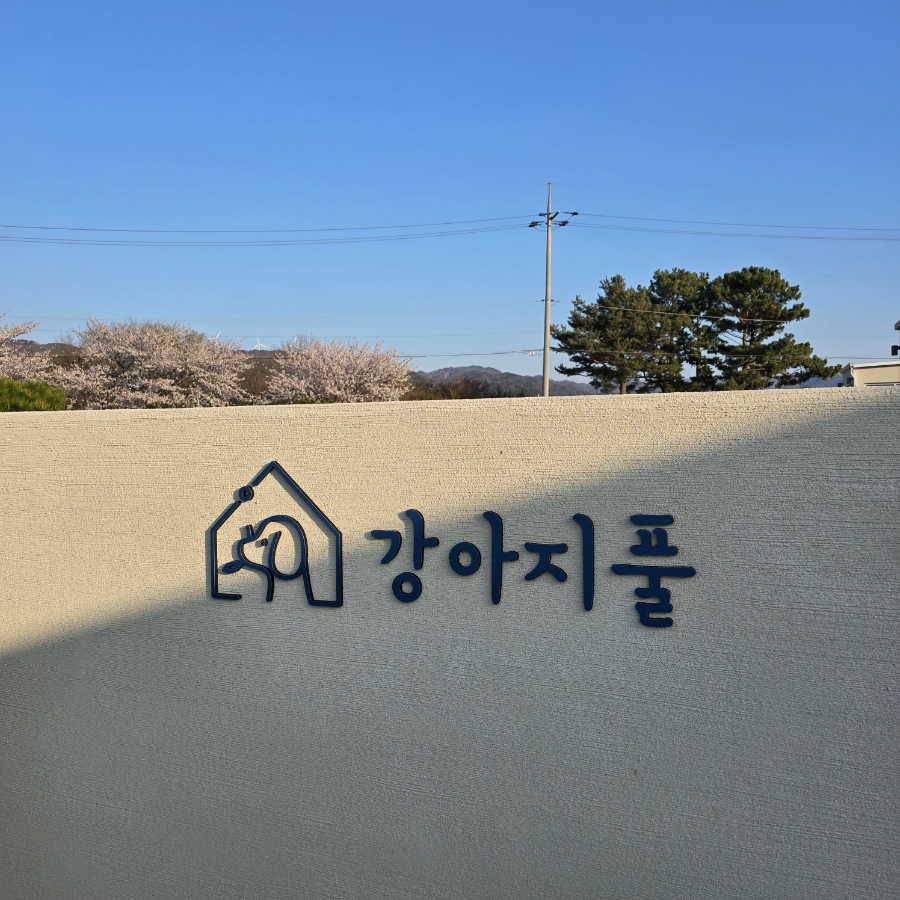강아지풀애견펜션 이미지