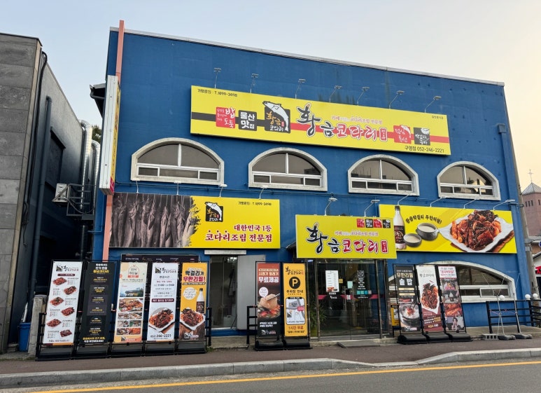 황금코다리 구영점 이미지