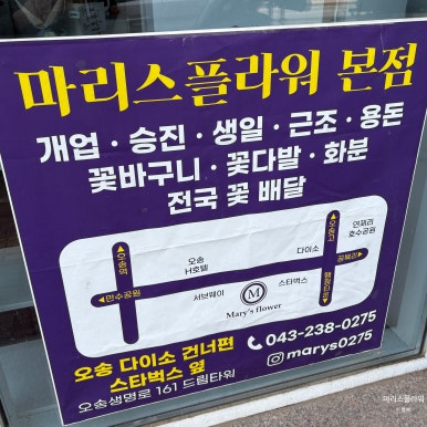 마리스플라워 이미지