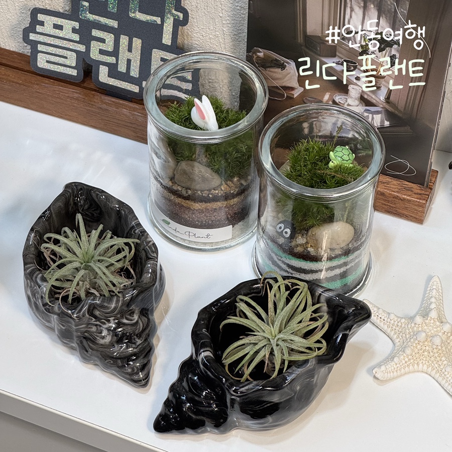 린다플랜트 이미지