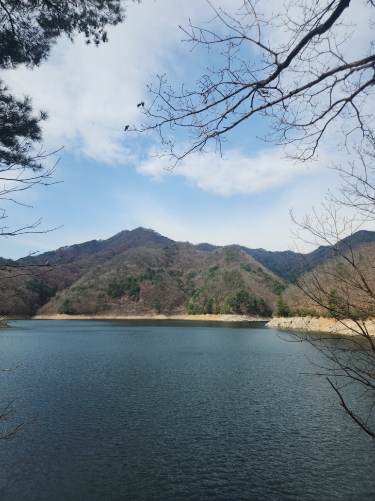 산골건강원 이미지