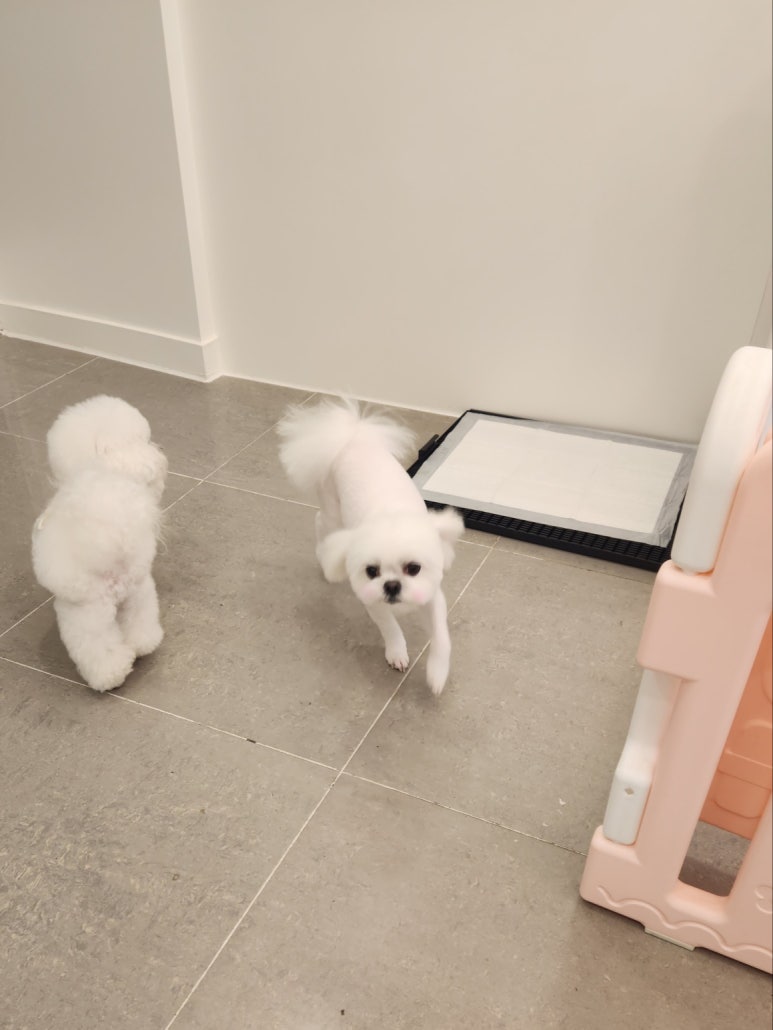 연두미용실 이미지