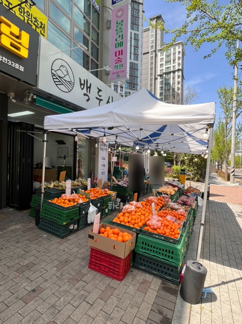 백두상회 이미지