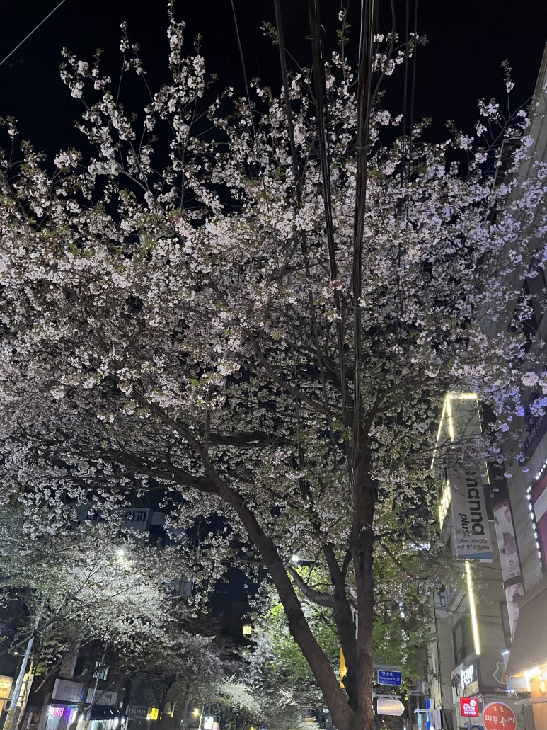 여우산장 이미지