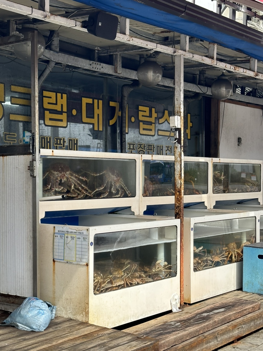 킹콩씨푸드 이미지