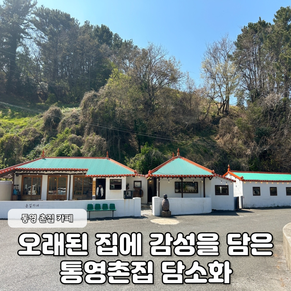 담소화 이미지