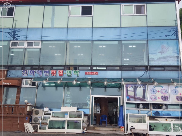 주문진회집 이미지