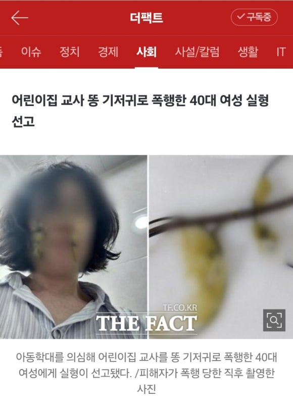 가비빈 이미지