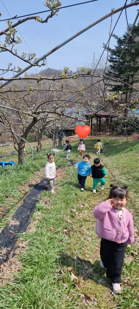 예솔농장 이미지
