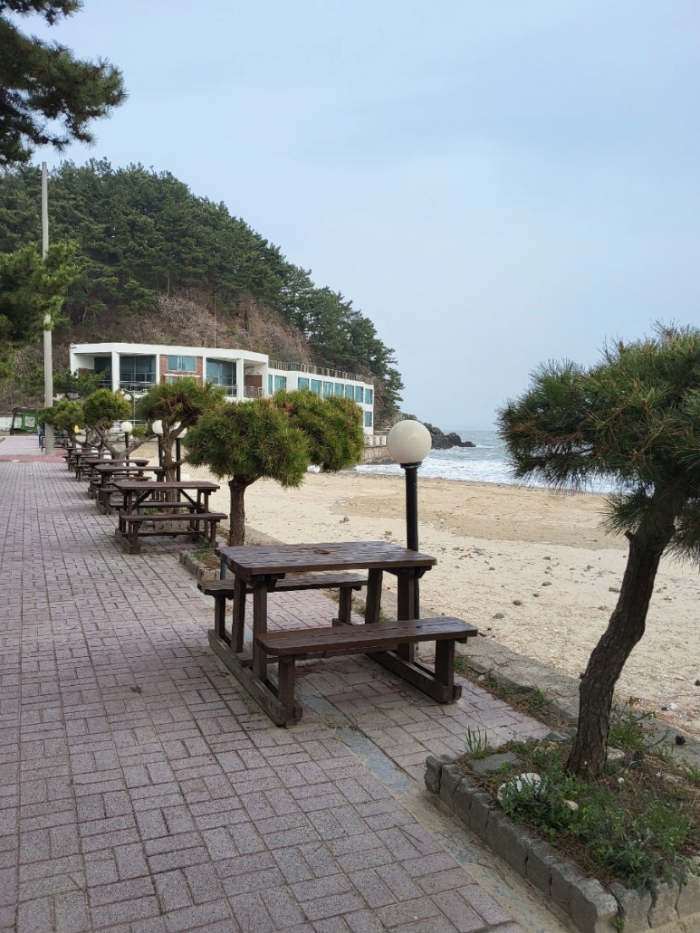 블레스오션카페 이미지