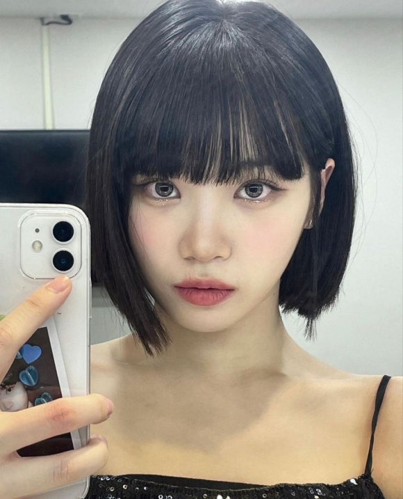 르무드헤어 이미지
