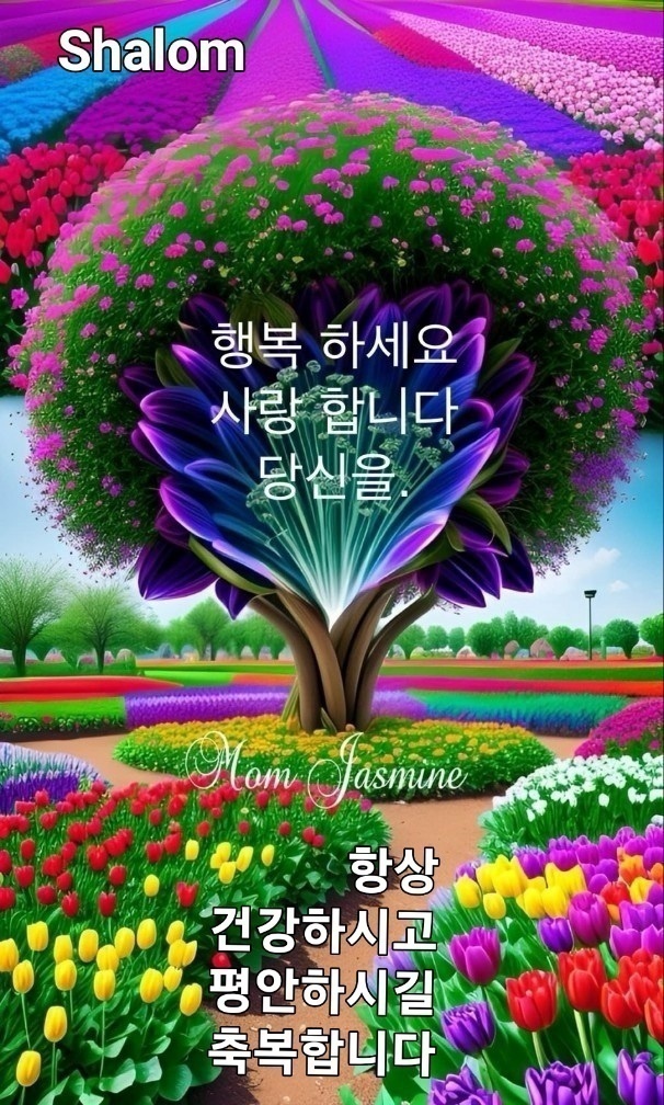 수지상사 이미지