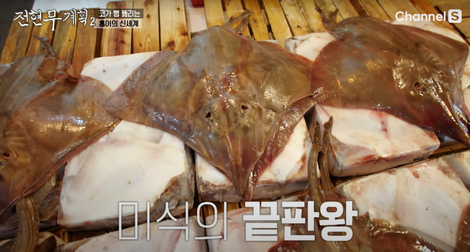 광주홍어 이미지