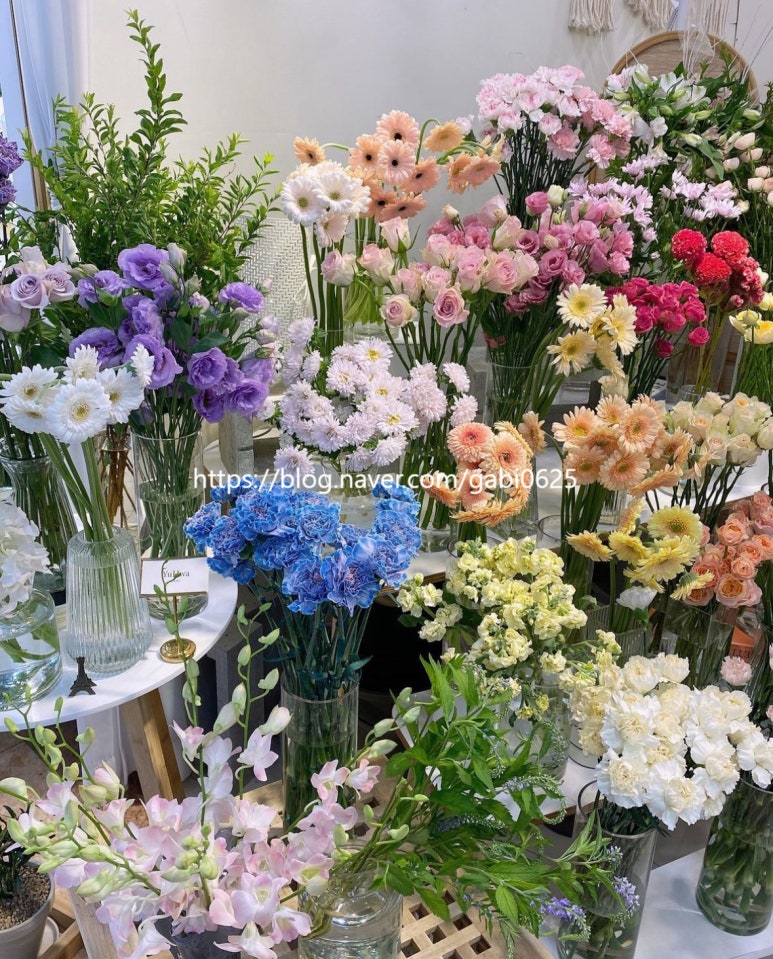 플로스유화 이미지