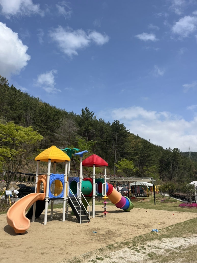 대암팜트리 이미지