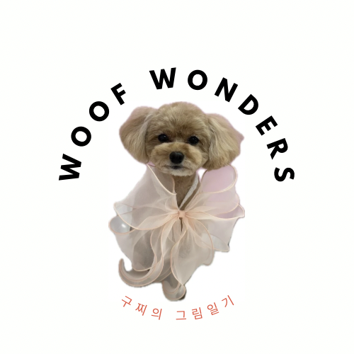 뽀르뽀라 이미지