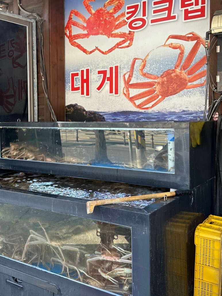 대게수산평택 이미지
