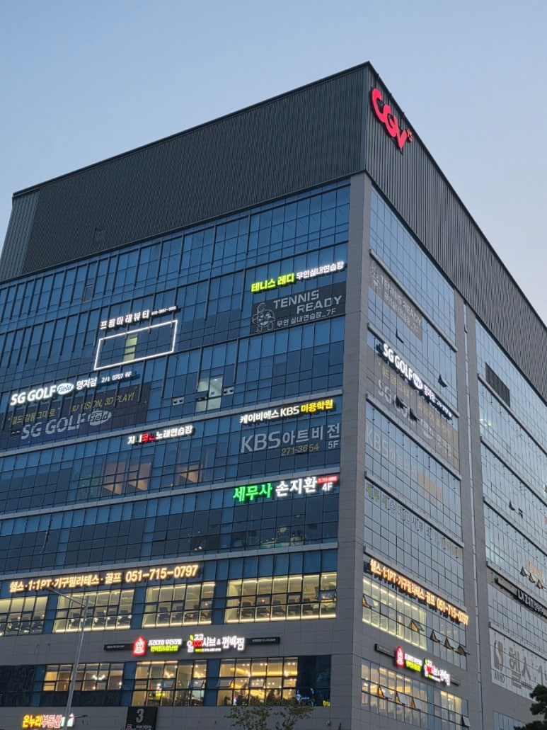 아우라 플라즈마 이미지