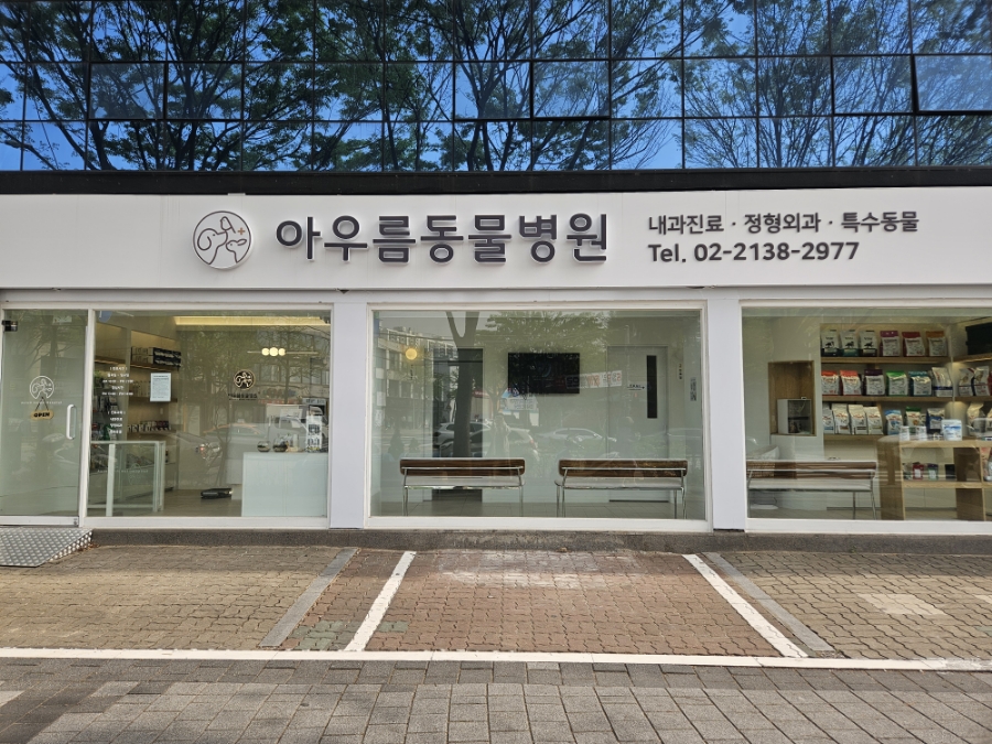 이수역 고양이 구내염 검진 아우름동물병원 비용 및 후기 — 사진 2