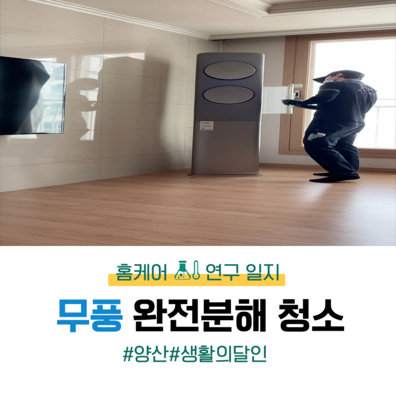 무풍인력 이미지